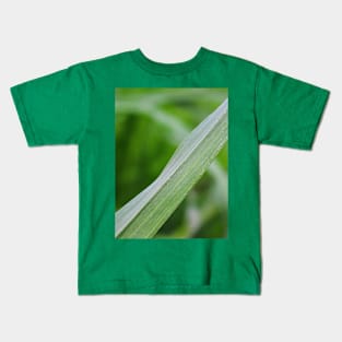 Blade of grass leaf Kids T-Shirt